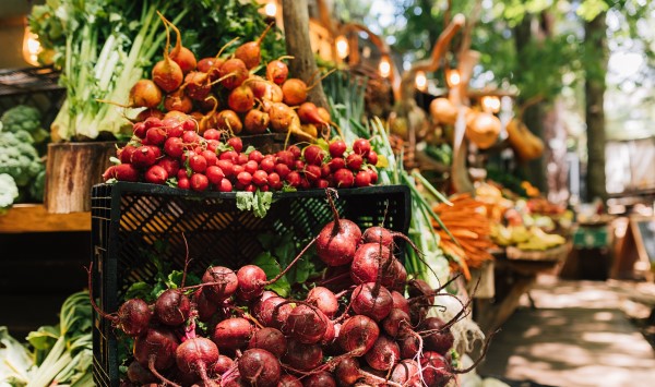 Étalage de légumes frais au marché local
