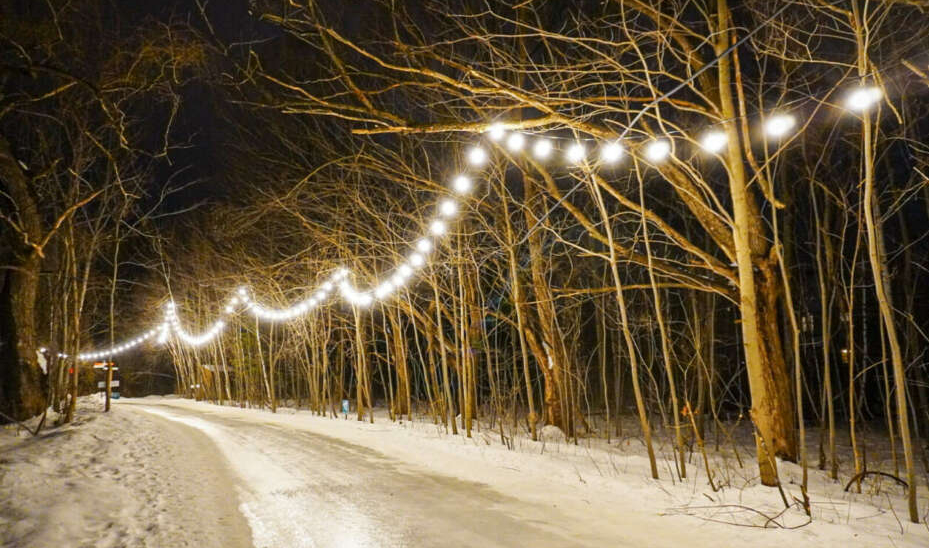 Sentier du Parc du Grand-Coteau illuminé la nuit