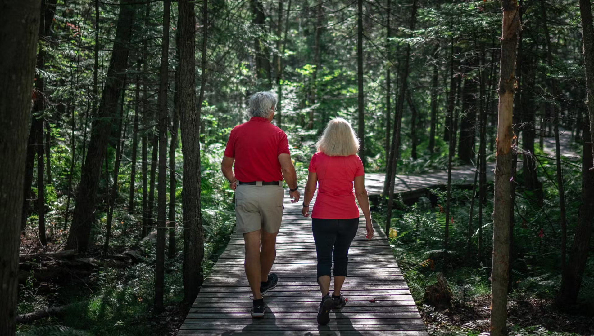 Couple walking on a path in the forest