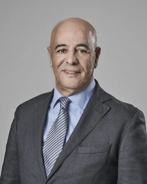 Hamid Terzi