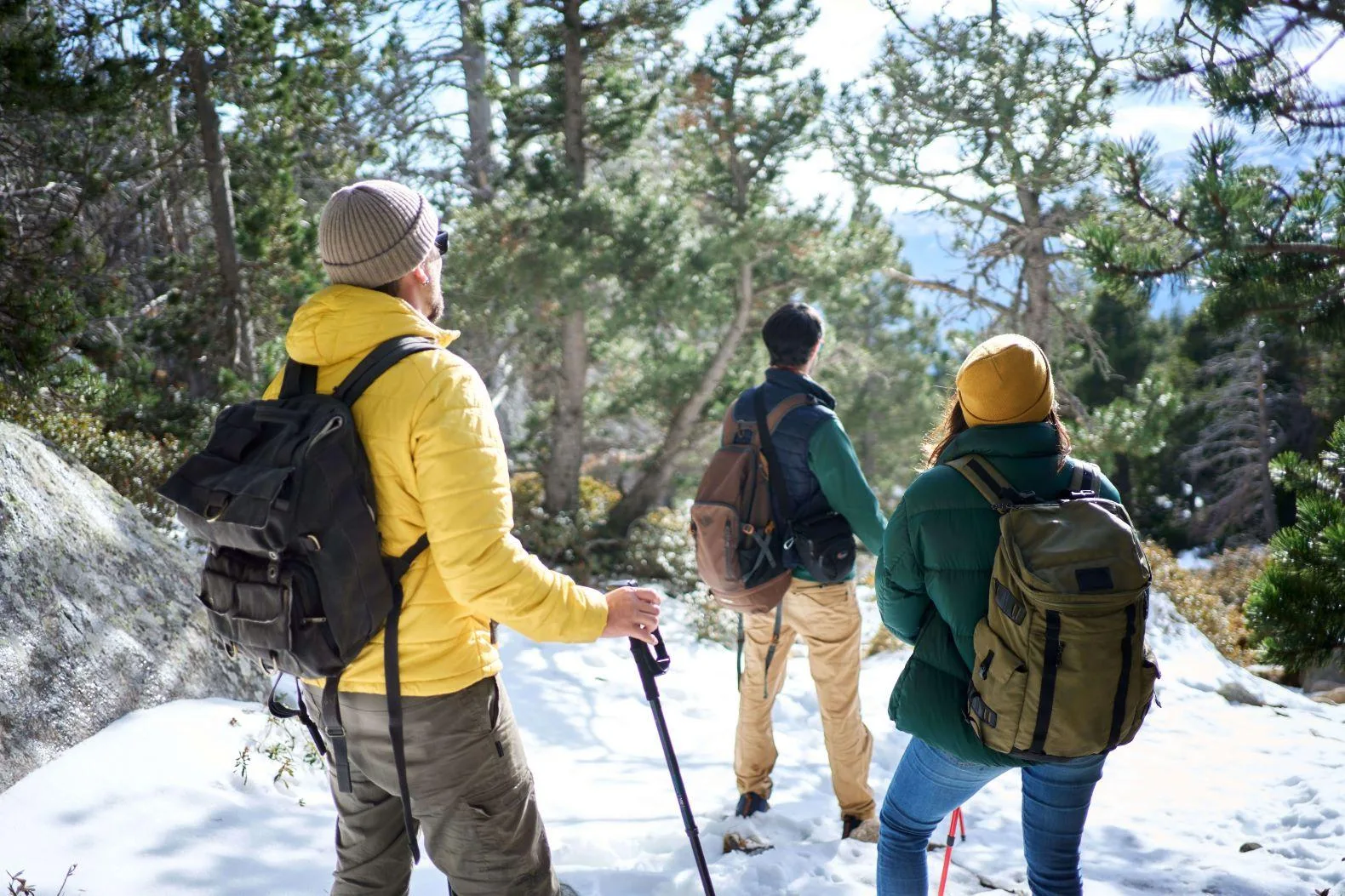 Amis qui marchent en forêt l’hiver.