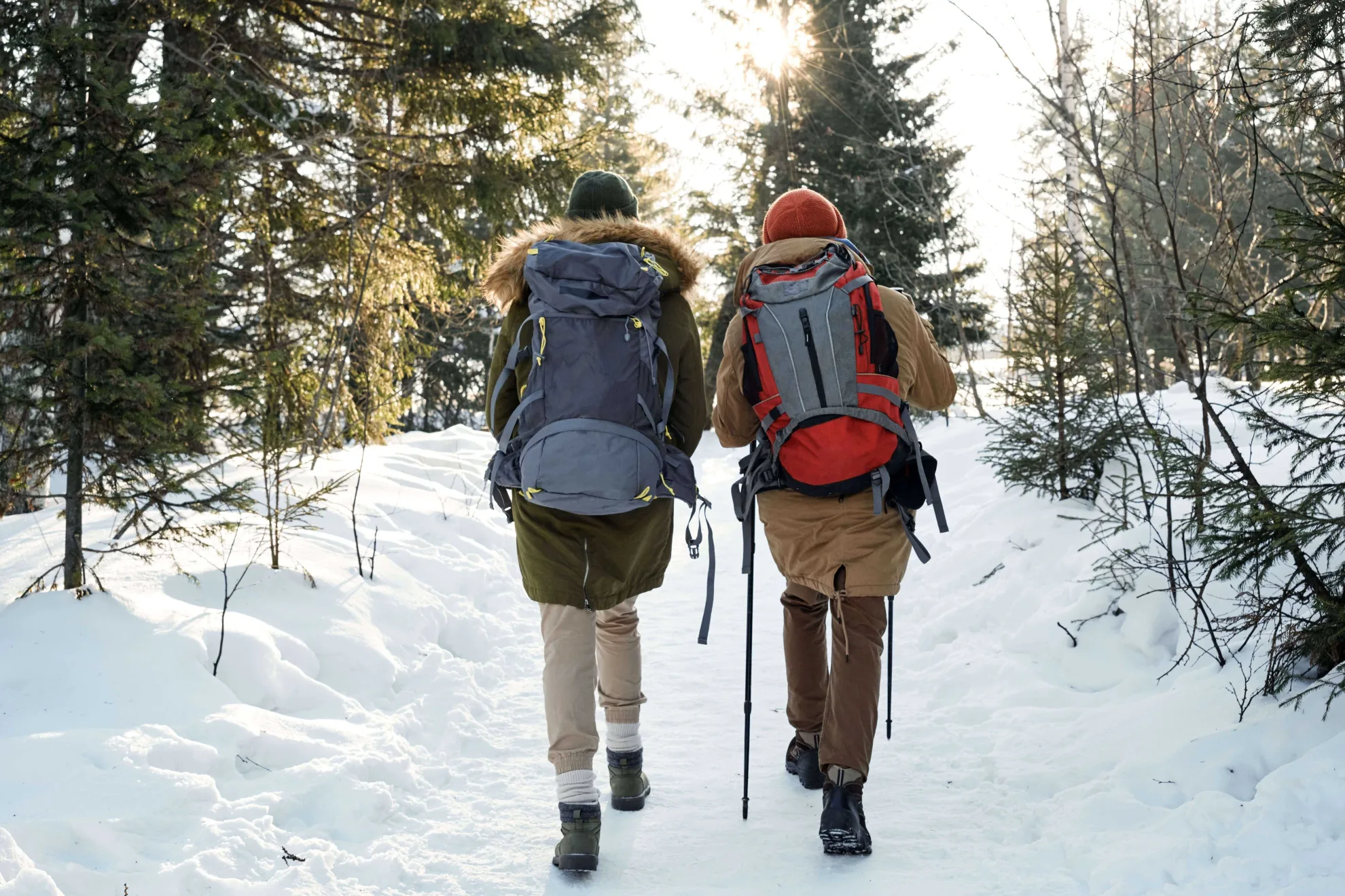 Couple qui marche en forêt l’hiver.